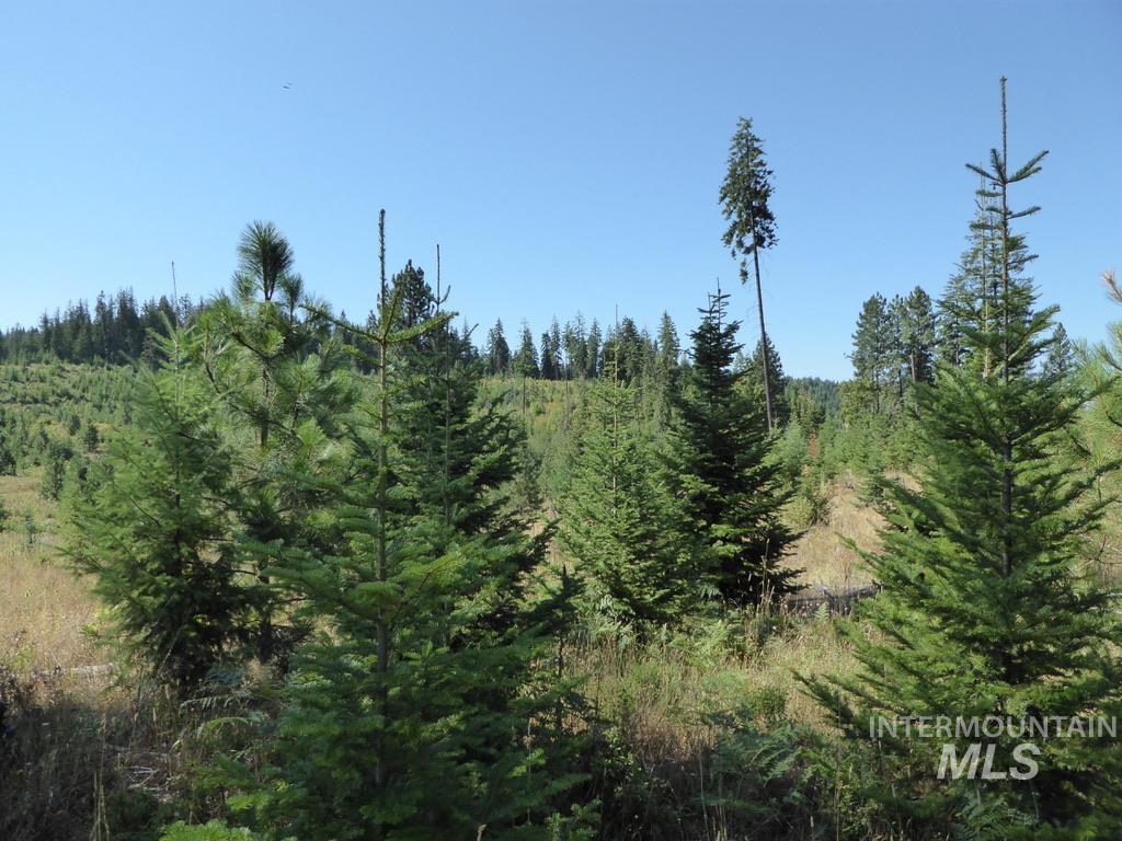 Tbd Parcel 7 Peaceful Valley Road Property Photo 9