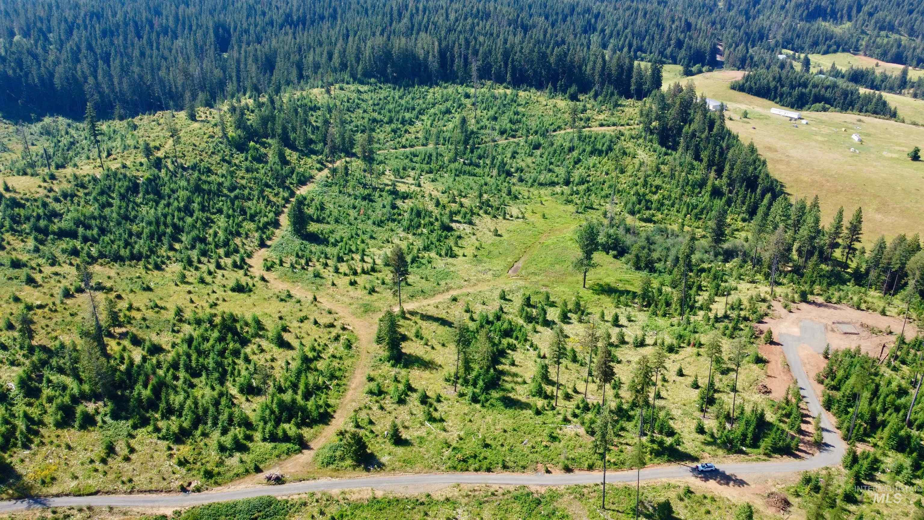 Tbd Parcel 7 Peaceful Valley Road Property Photo 10