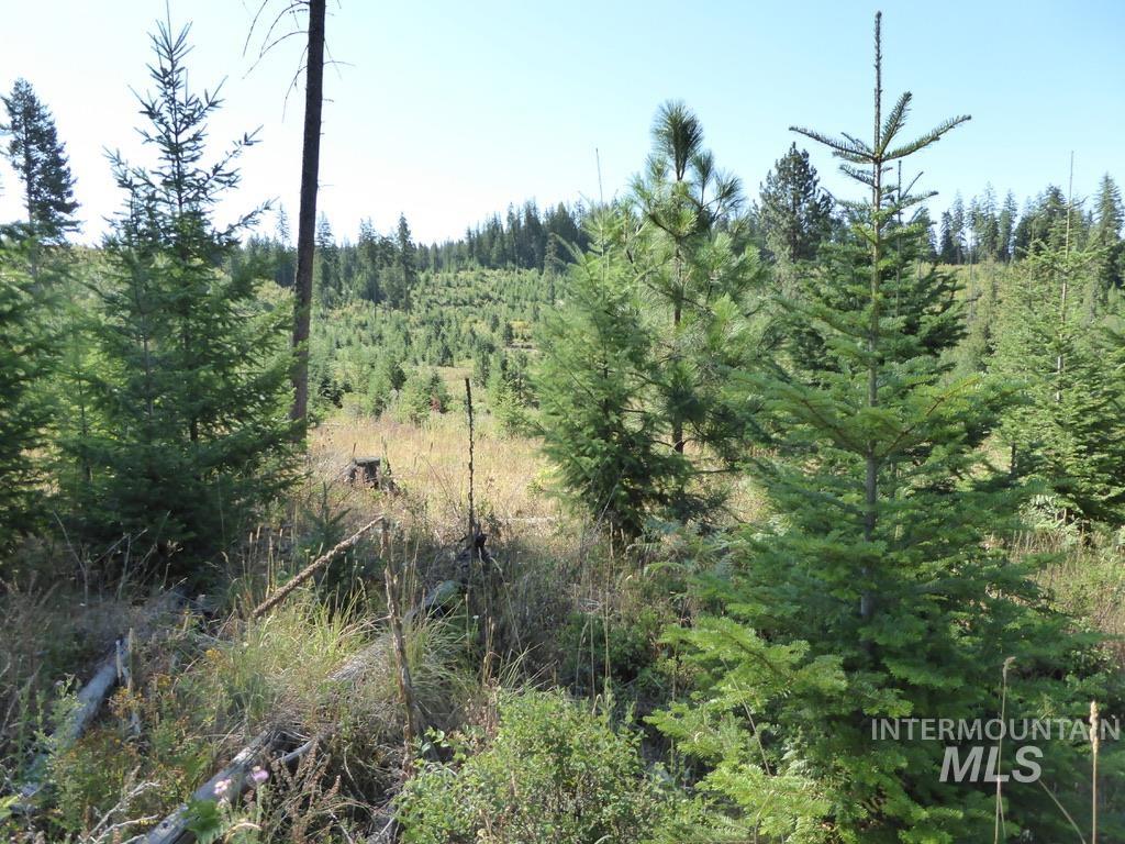 Tbd Parcel 7 Peaceful Valley Road Property Photo 14