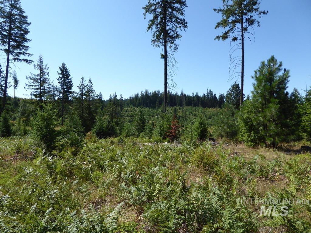 Tbd Parcel 7 Peaceful Valley Road Property Photo 15