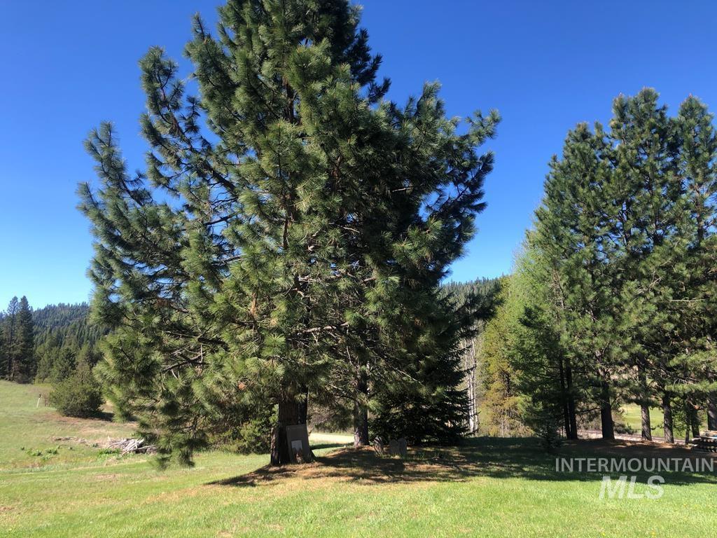 9606 Packer John Rd Property Photo 28