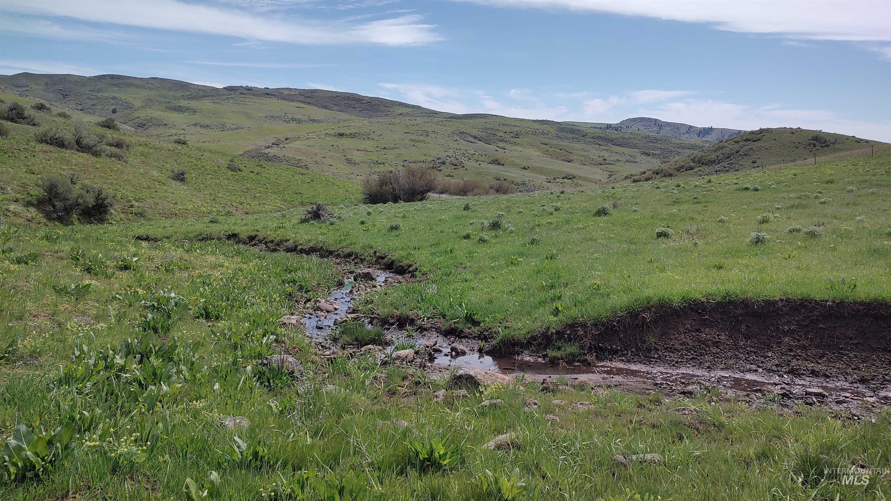 Tbd Parcel 'a' 2nd Fork Property Photo 3