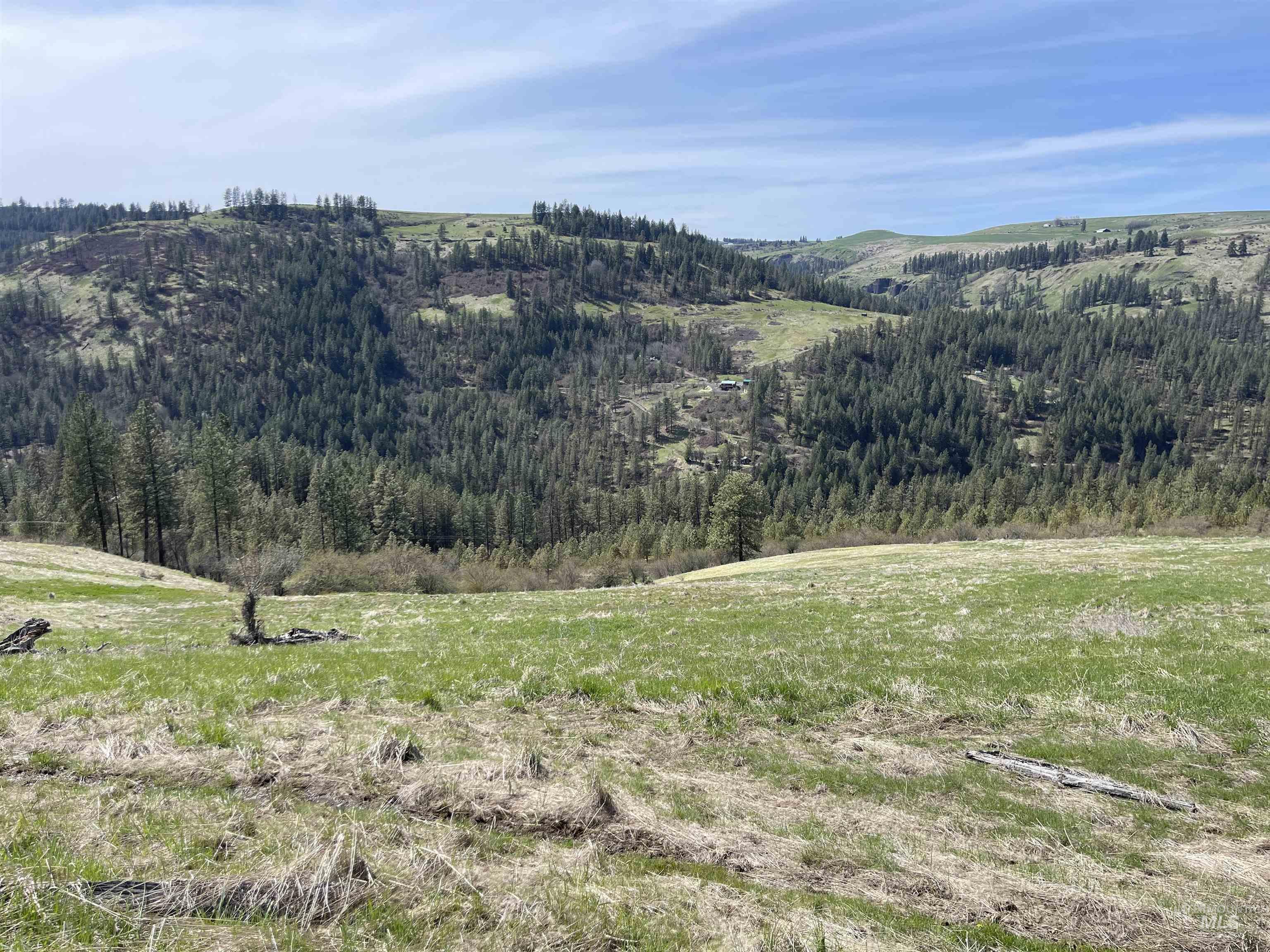 Idaho County Real Estate Listings Main Image
