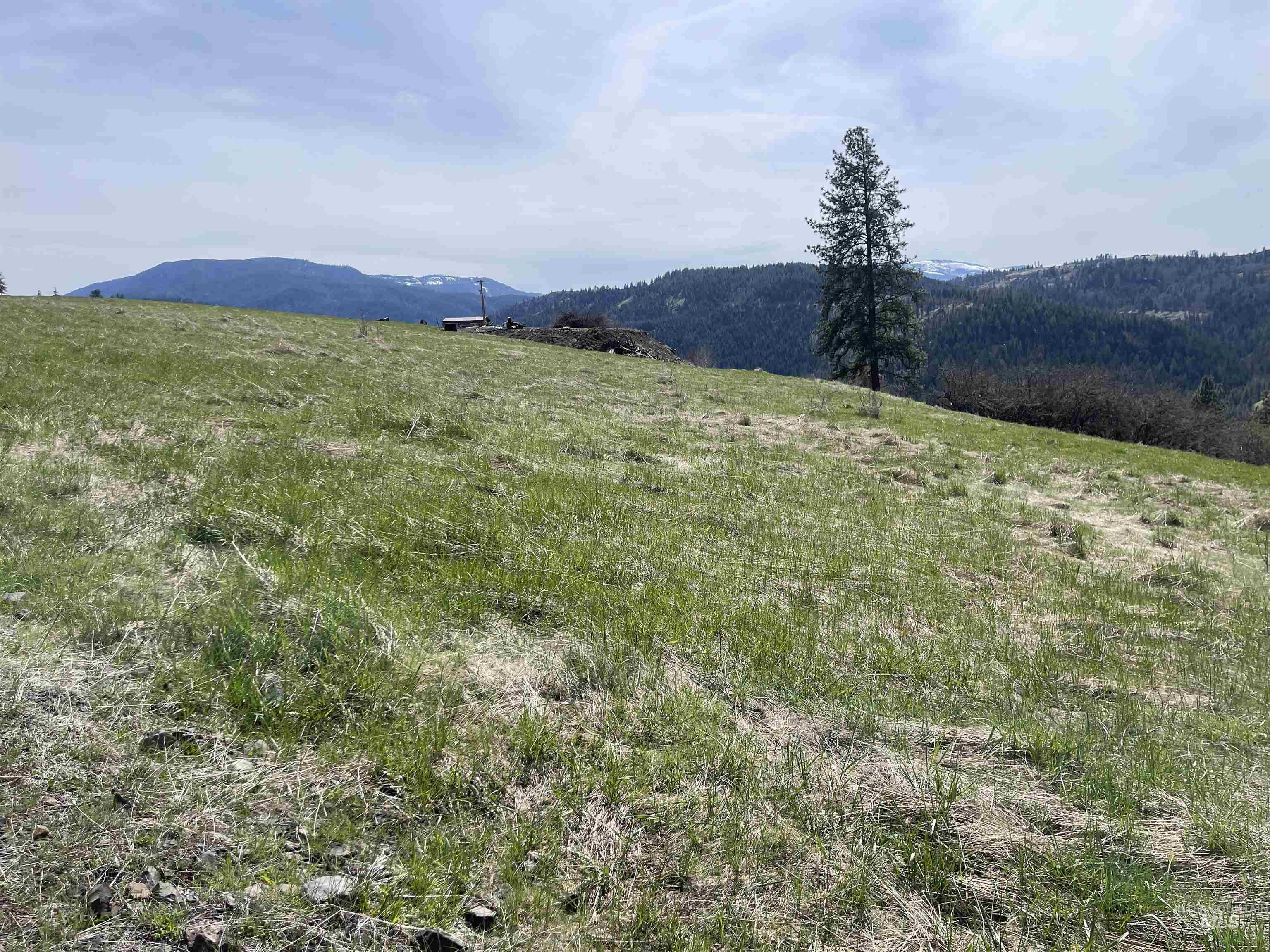 Tbd Wagon Wheel Rd Property Photo 2