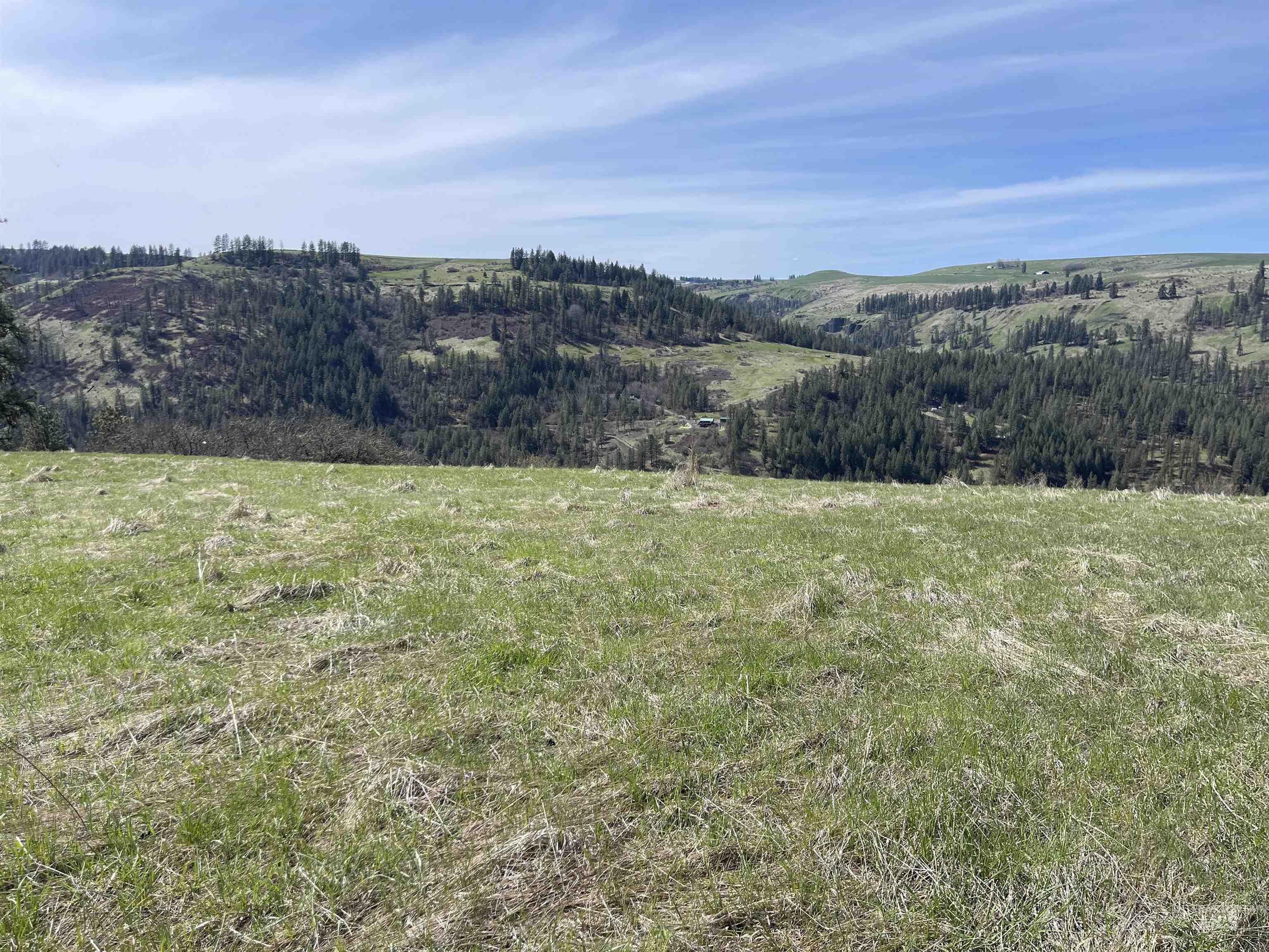Tbd Wagon Wheel Rd Property Photo 3