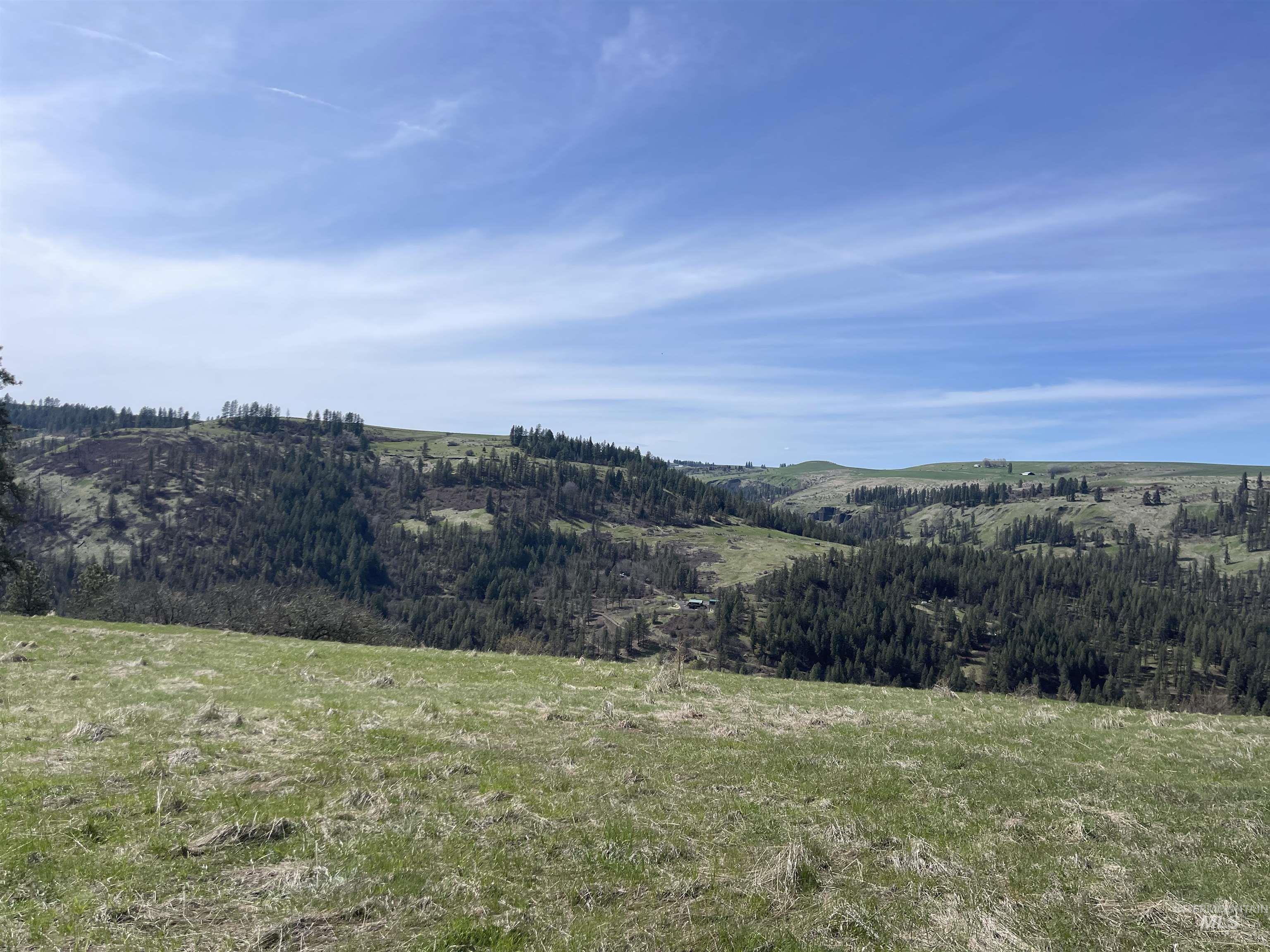 Tbd Wagon Wheel Rd Property Photo 4