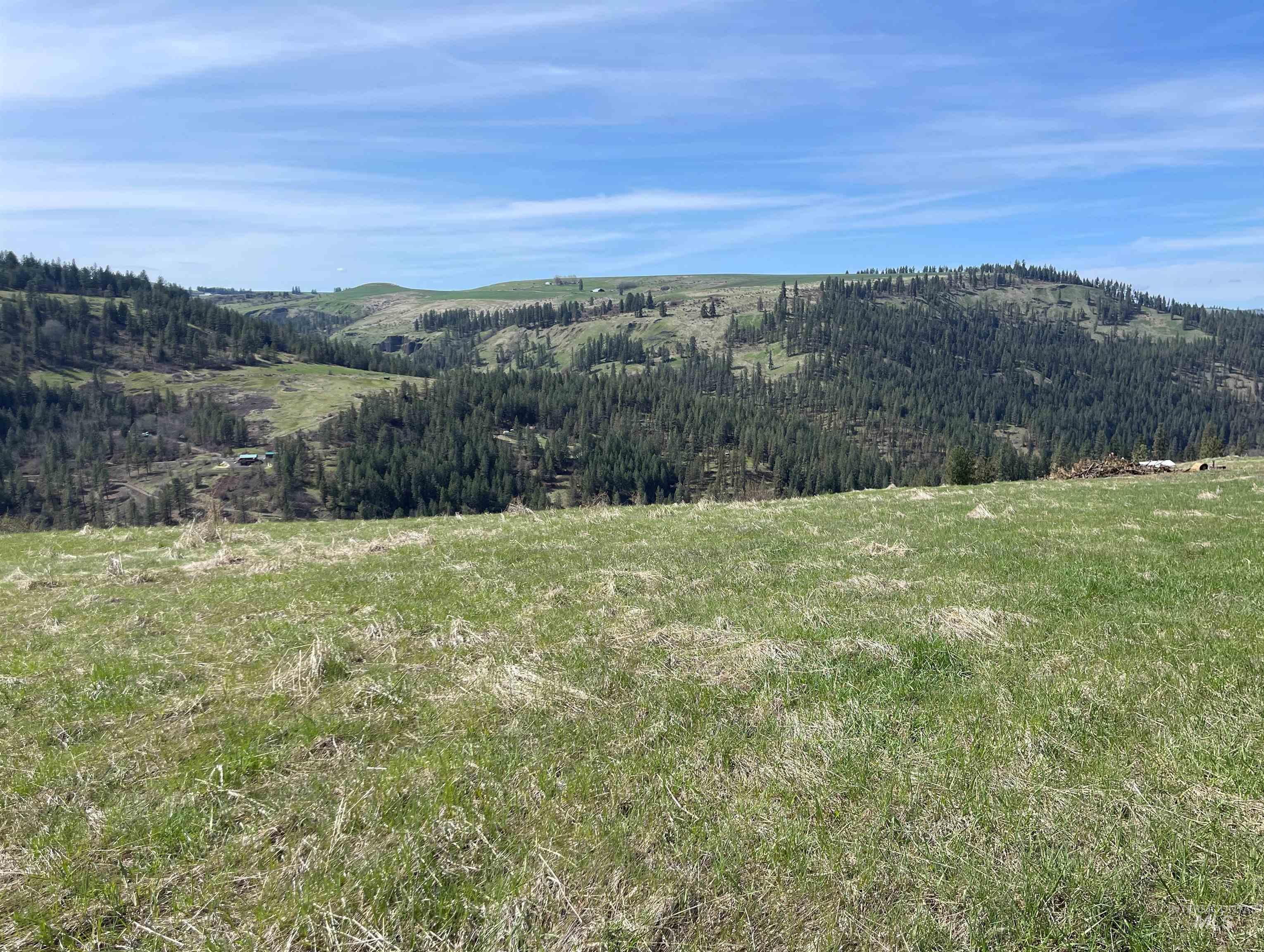 Tbd Wagon Wheel Rd Property Photo 5