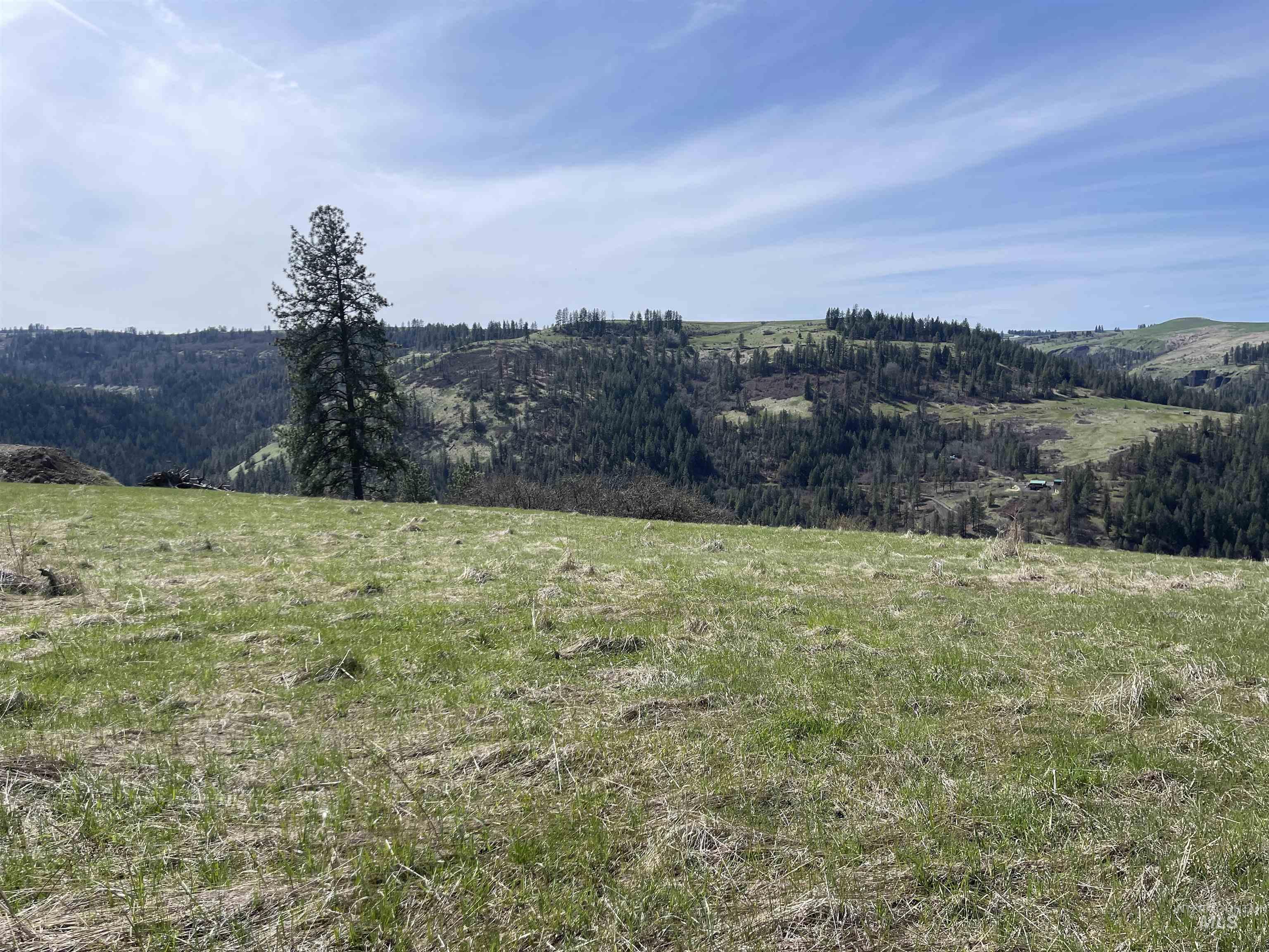 Tbd Wagon Wheel Rd Property Photo 6