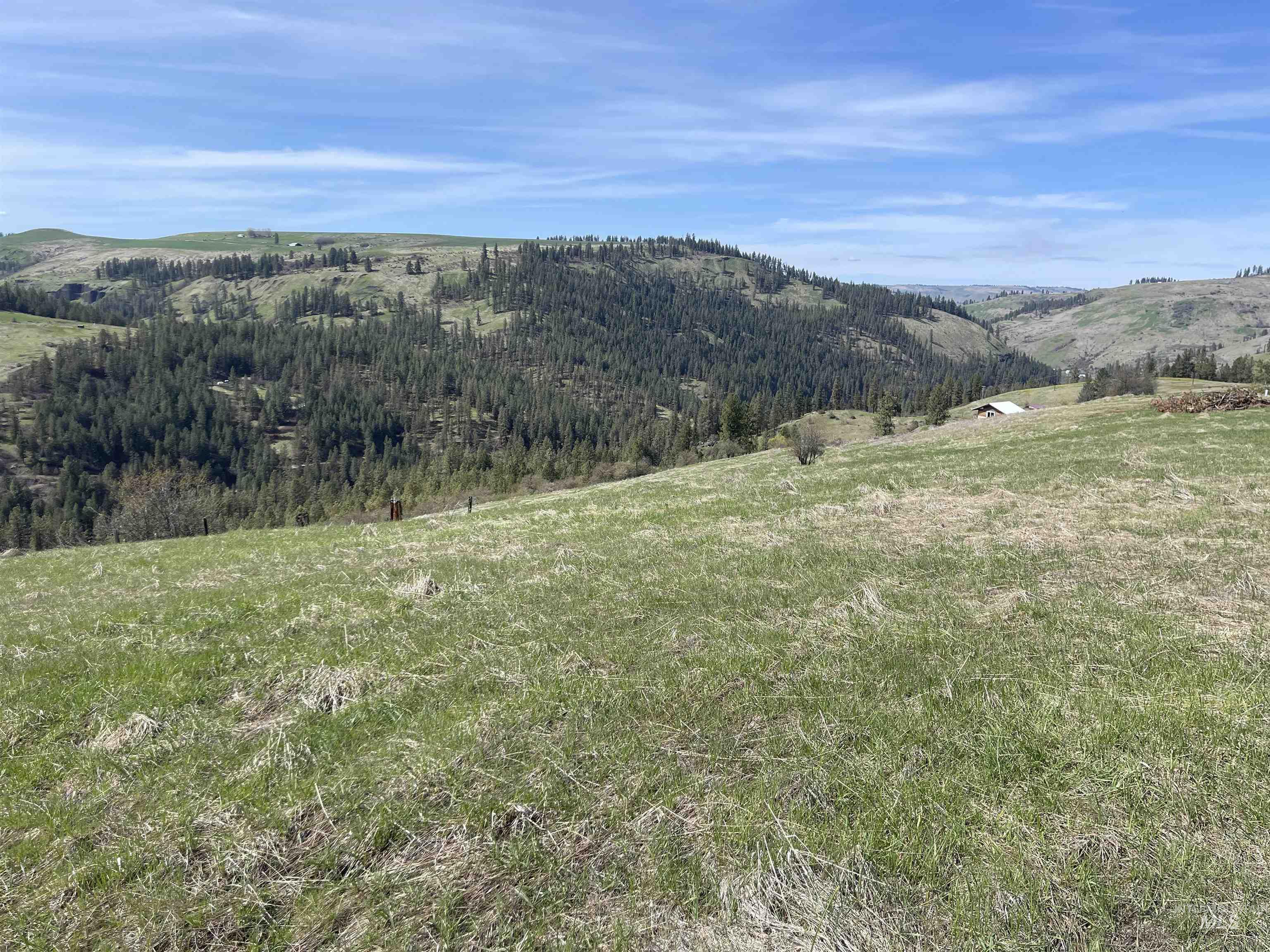 Tbd Wagon Wheel Rd Property Photo 7