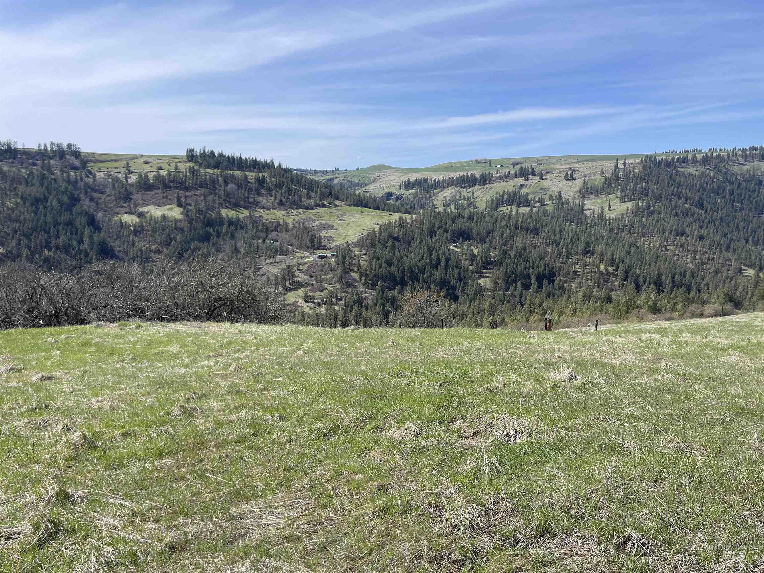 Tbd Wagon Wheel Rd Property Photo 8