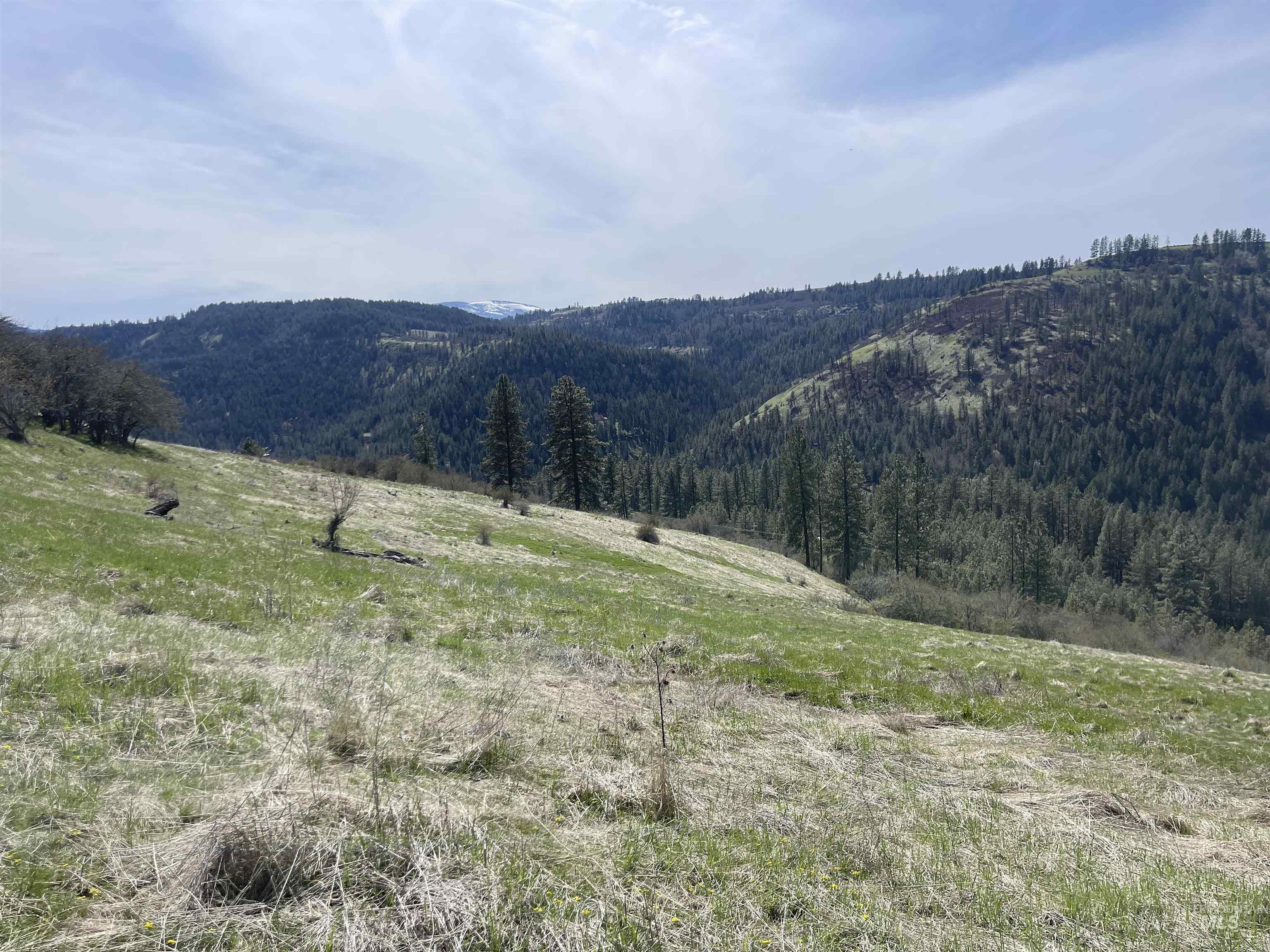 Tbd Wagon Wheel Rd Property Photo 13