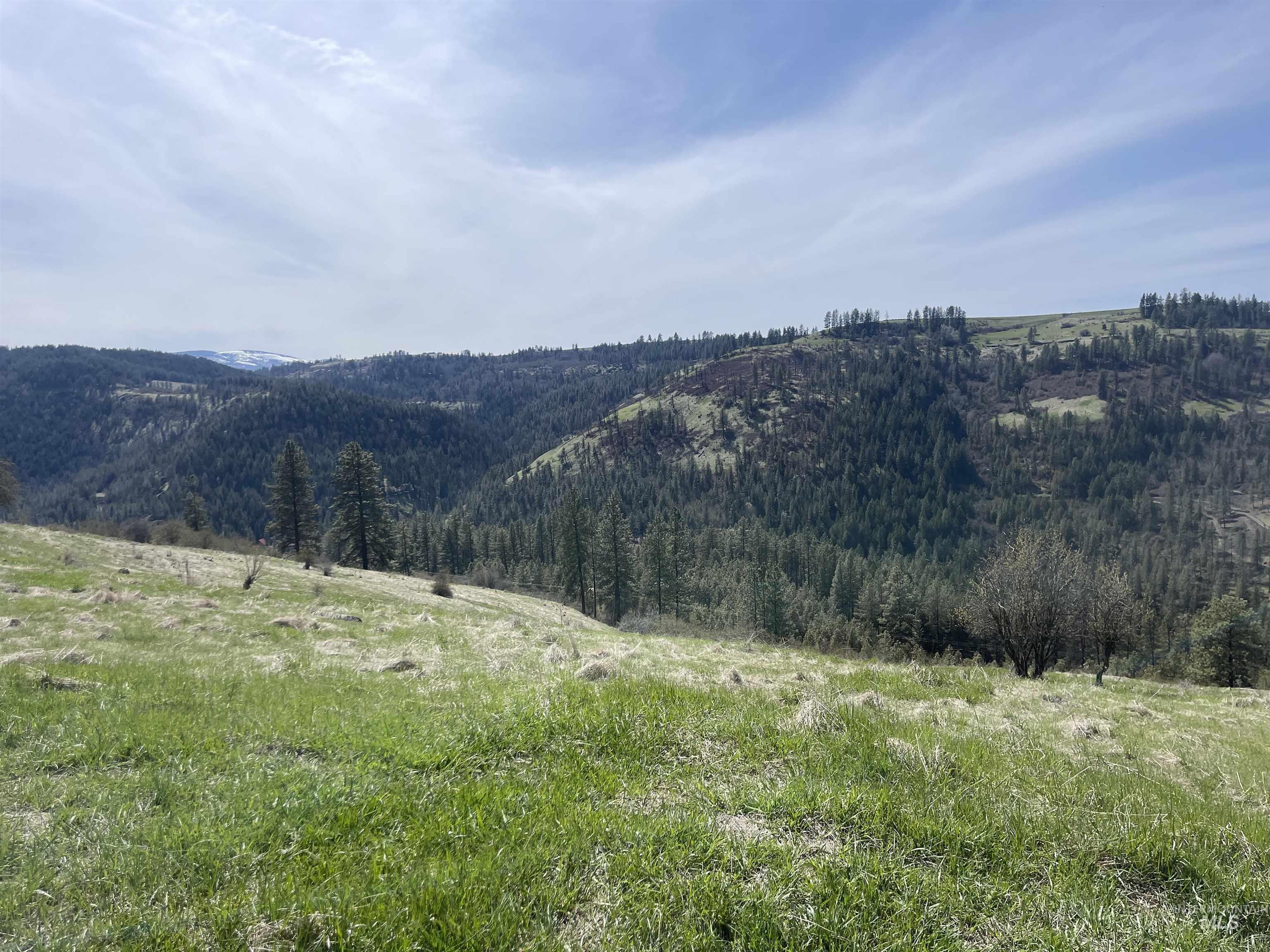 Tbd Wagon Wheel Rd Property Photo 16