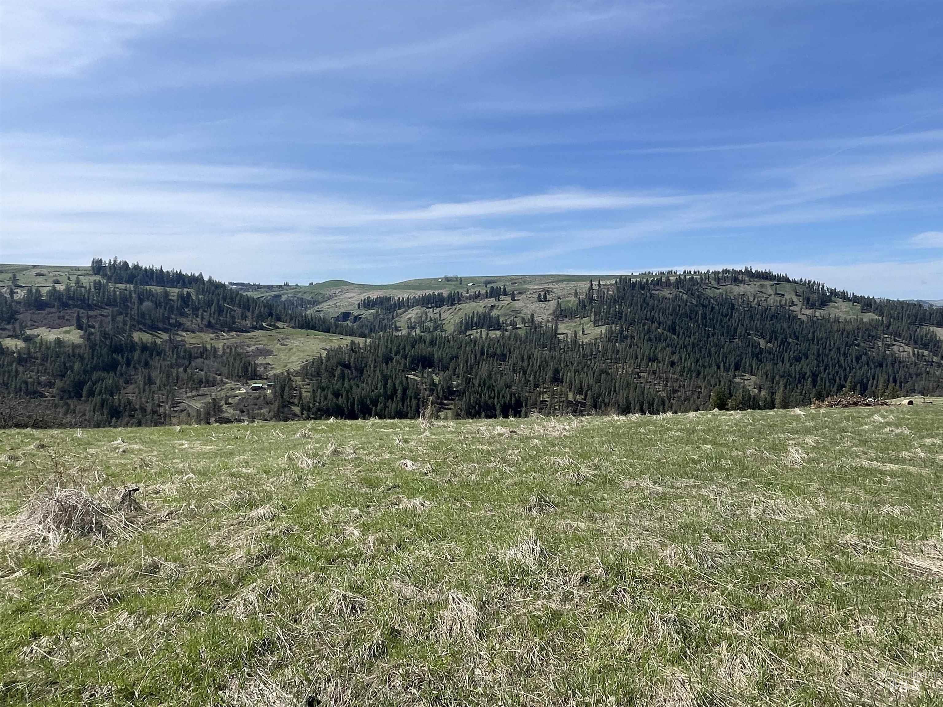 Tbd Wagon Wheel Rd Property Photo 17