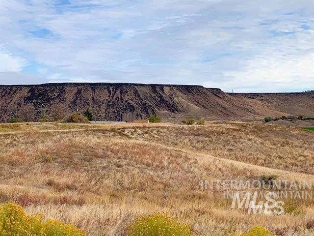10581 State Hwy 78 Property Photo 4