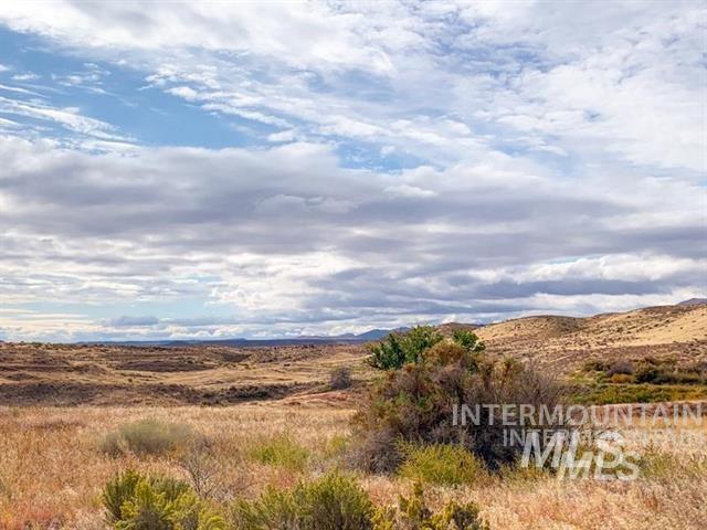 10581 State Hwy 78 Property Photo 10