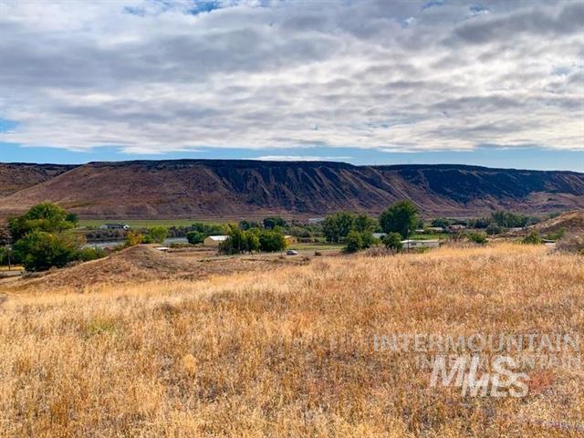 10581 State Hwy 78 Property Photo 15