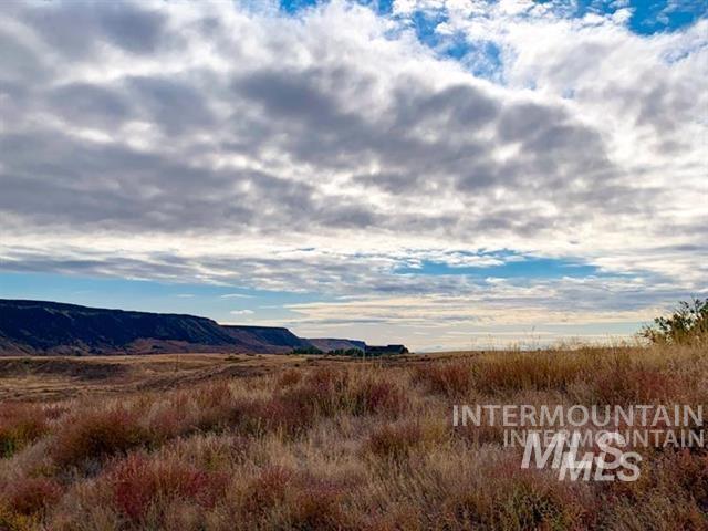 10581 State Hwy 78 Property Photo 21