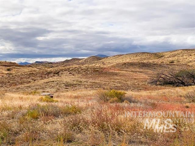 10581 State Hwy 78 Property Photo 22