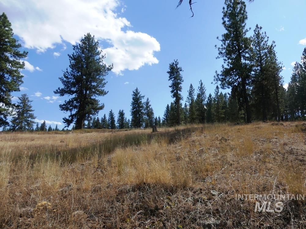 Lot 24 Timber Ridge Property Photo 4