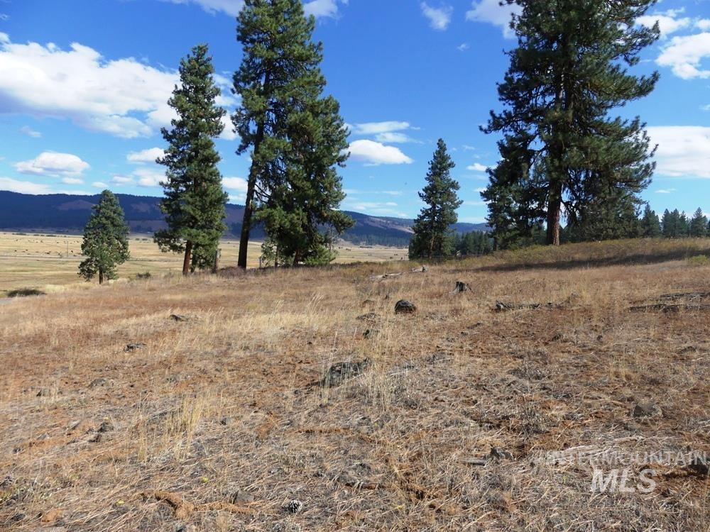 Lot 24 Timber Ridge Property Photo 5