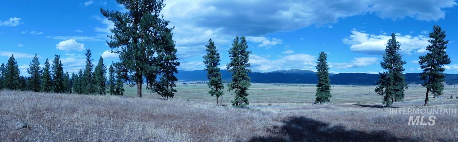 Lot 24 Timber Ridge Property Photo 6