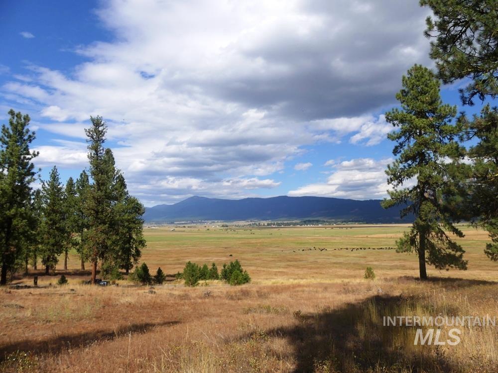 Lot 24 Timber Ridge Property Photo 7