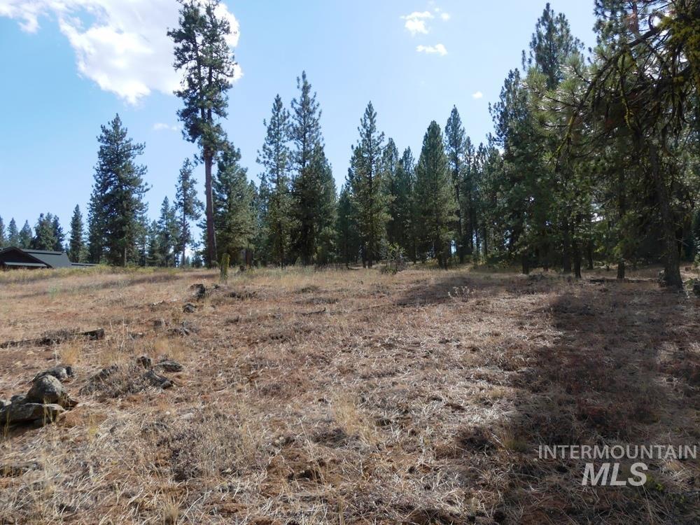 Lot 24 Timber Ridge Property Photo 8