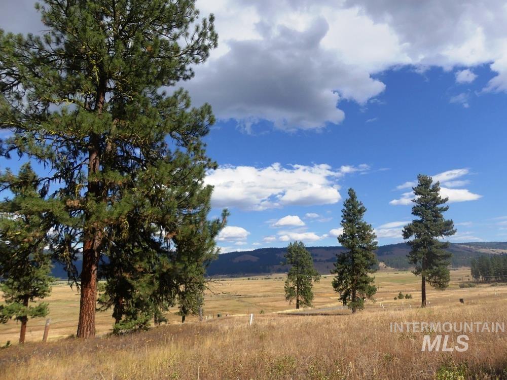 Lot 24 Timber Ridge Property Photo 9