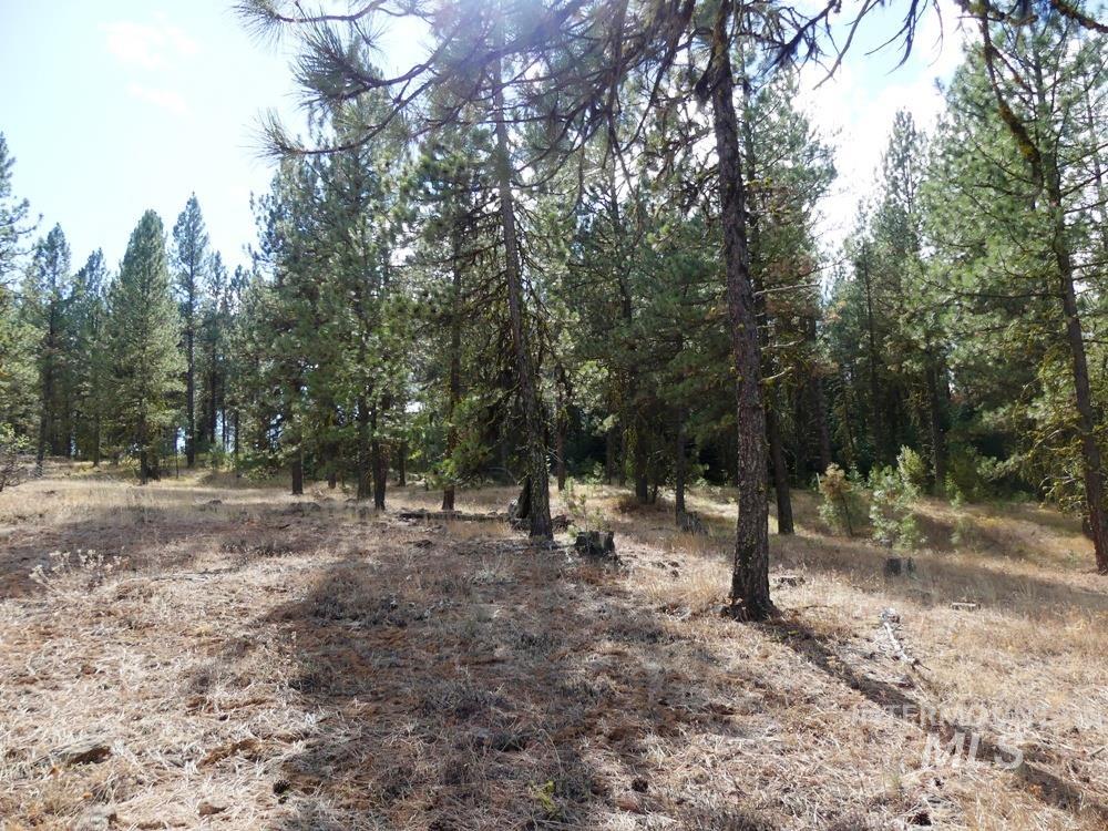 Lot 24 Timber Ridge Property Photo 11