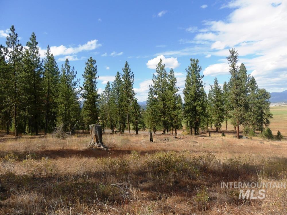 Lot 24 Timber Ridge Property Photo 12