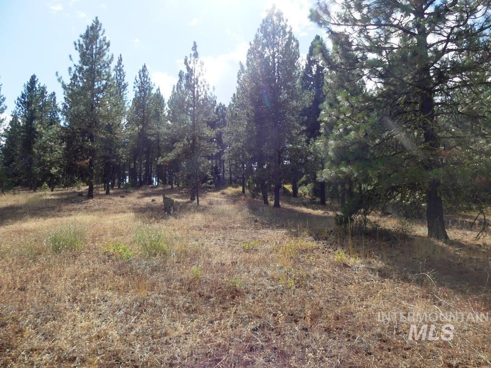 Lot 24 Timber Ridge Property Photo 13