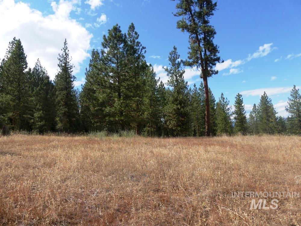 Lot 24 Timber Ridge Property Photo 15