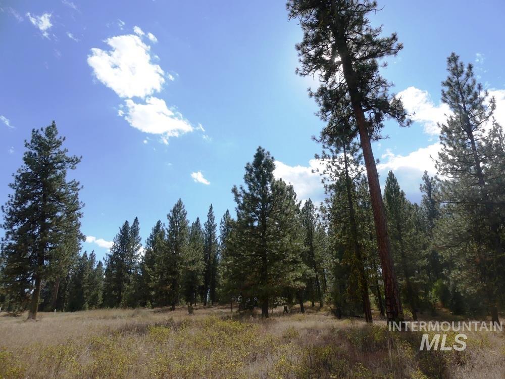Lot 24 Timber Ridge Property Photo 17