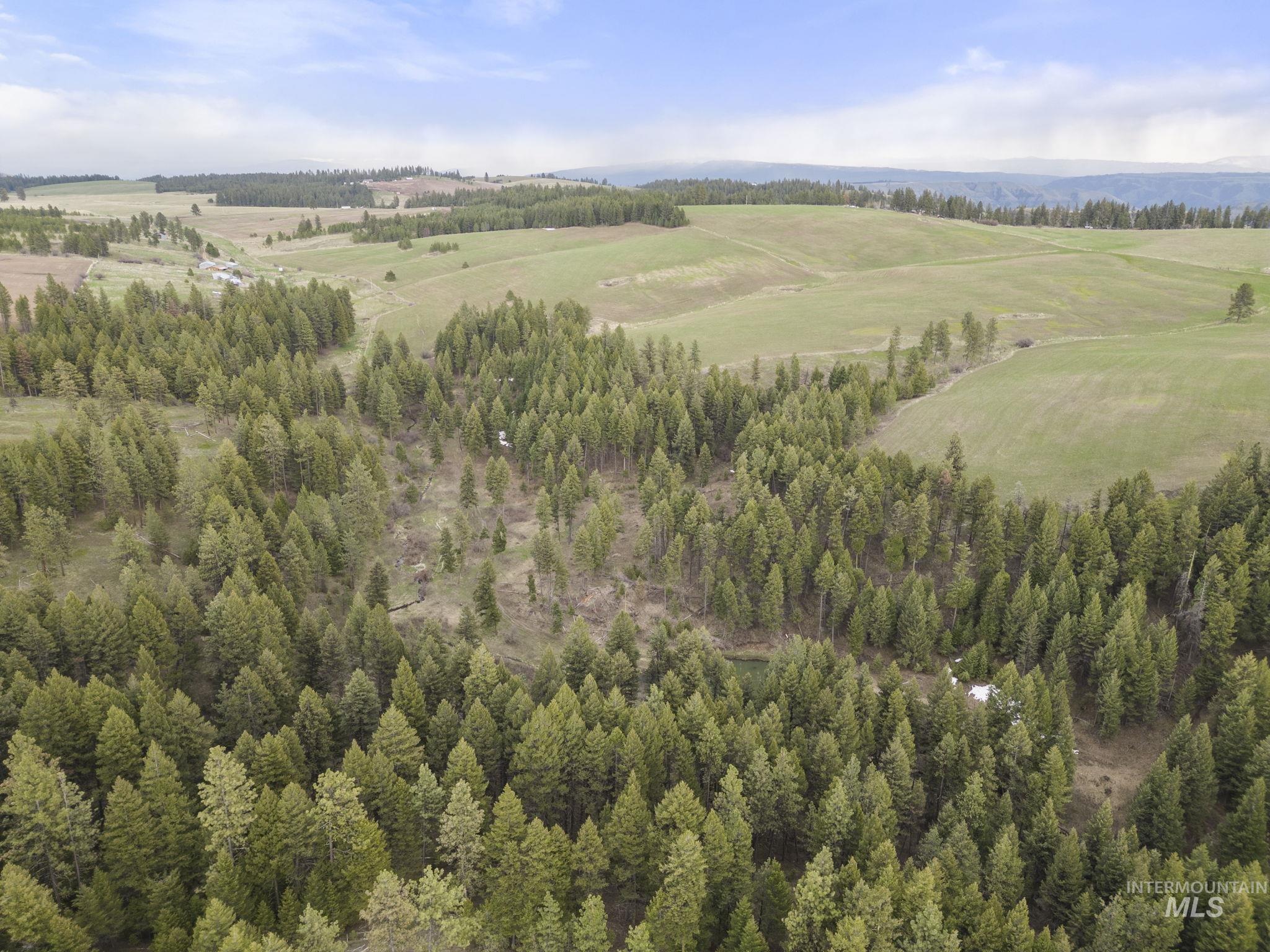 Tbd Rieman Rd Property Photo 4