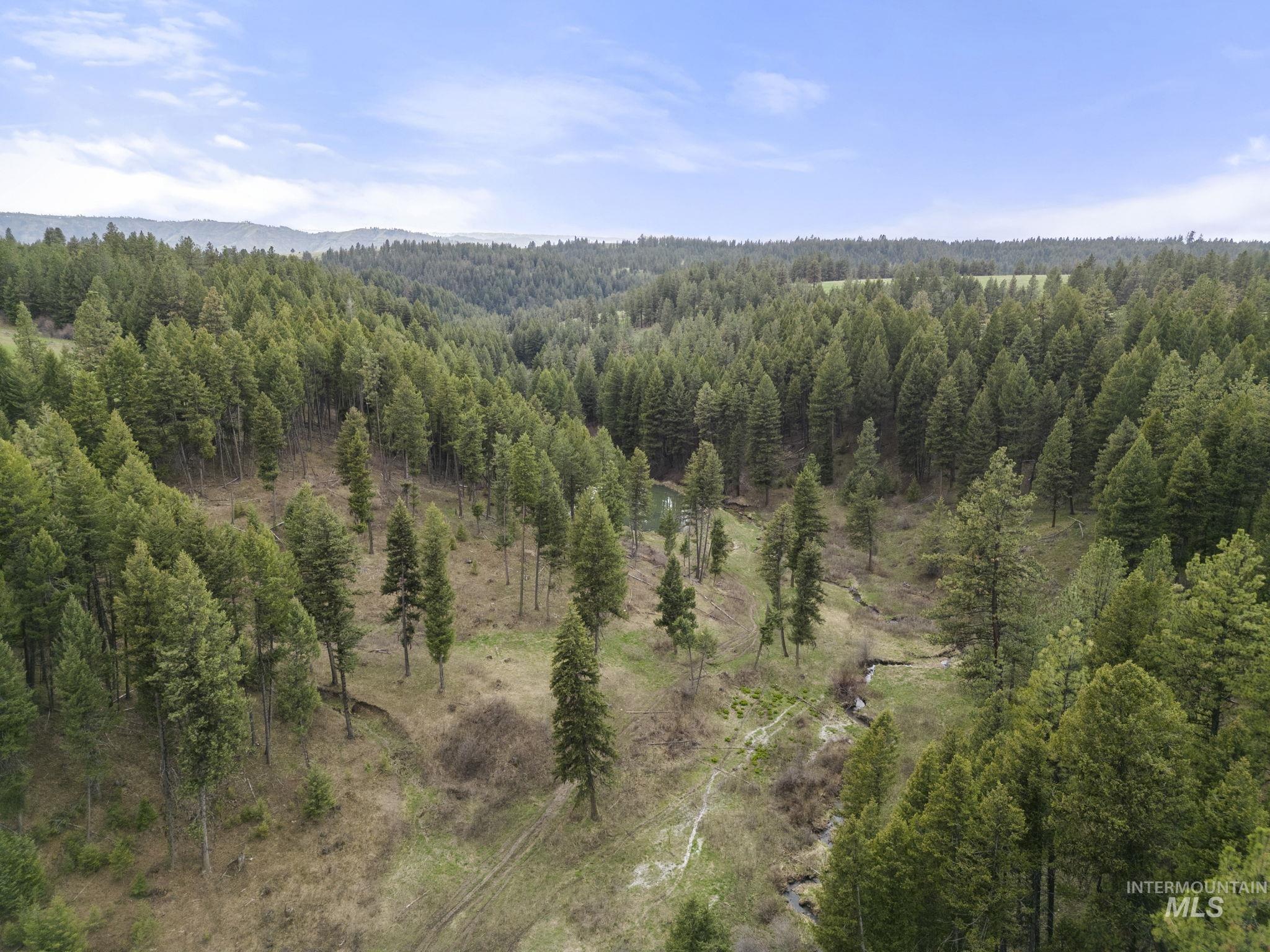 Tbd Rieman Rd Property Photo 38