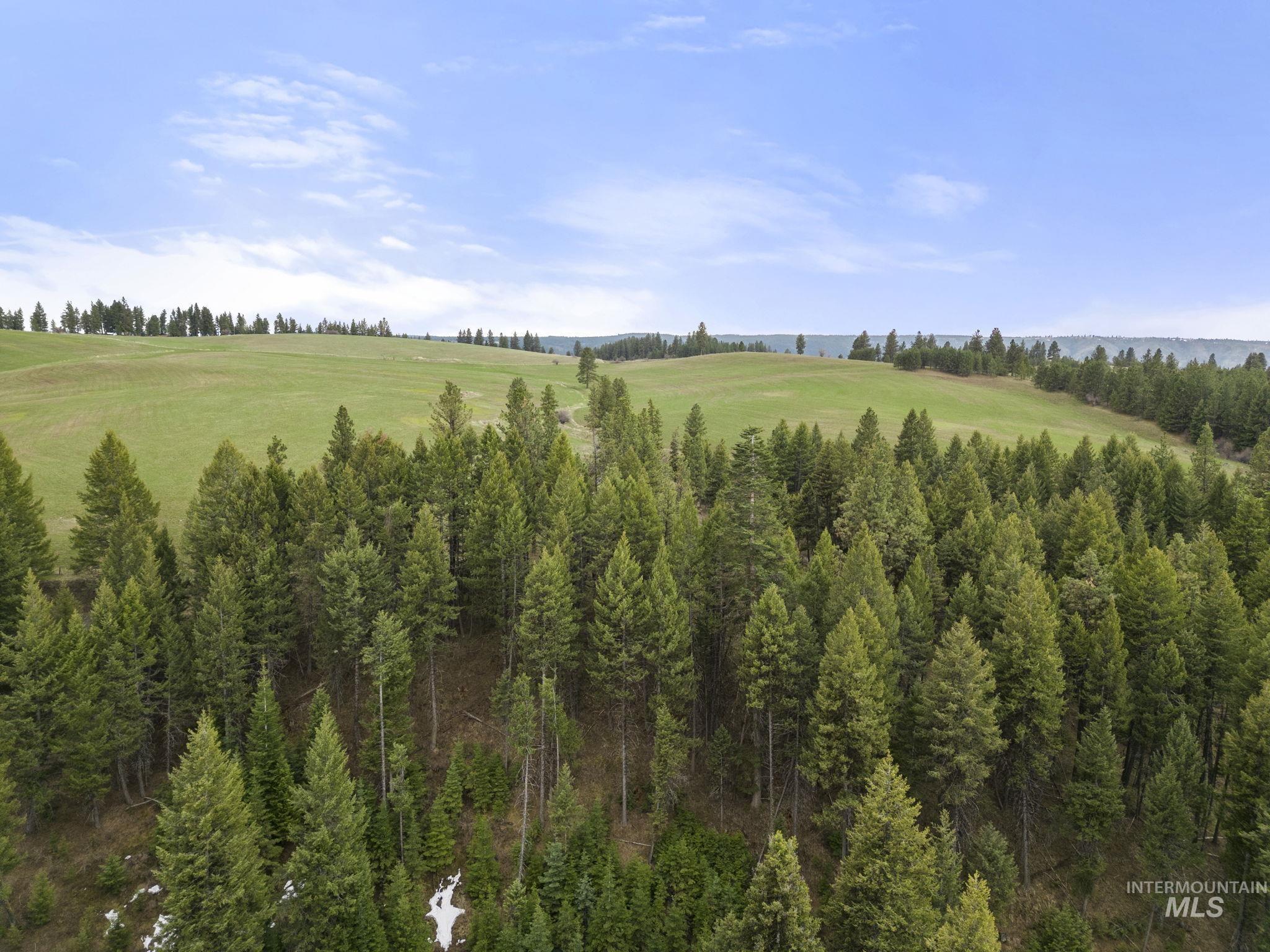 Tbd Rieman Rd Property Photo 4