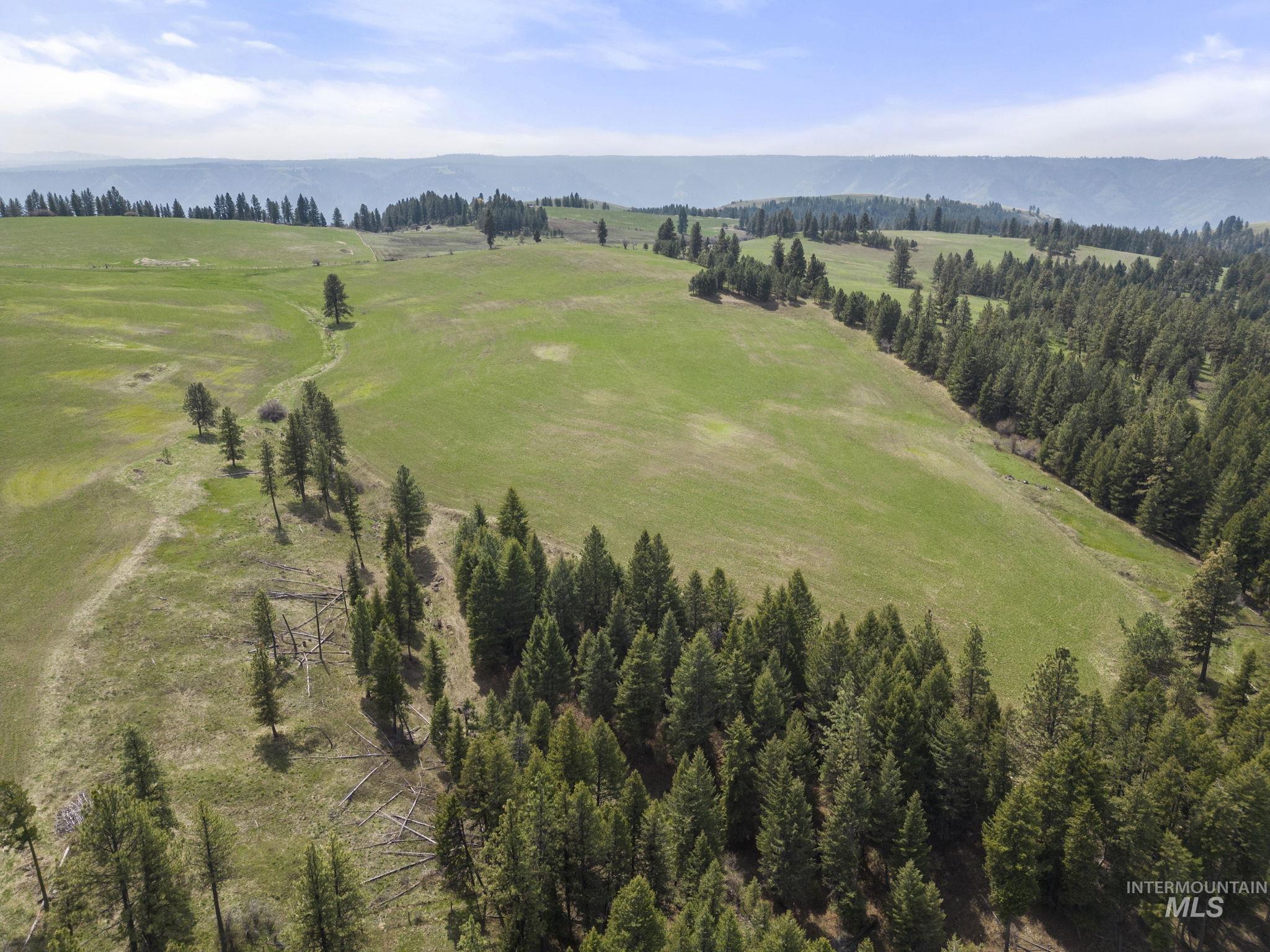 Tbd Rieman Rd Property Photo 5