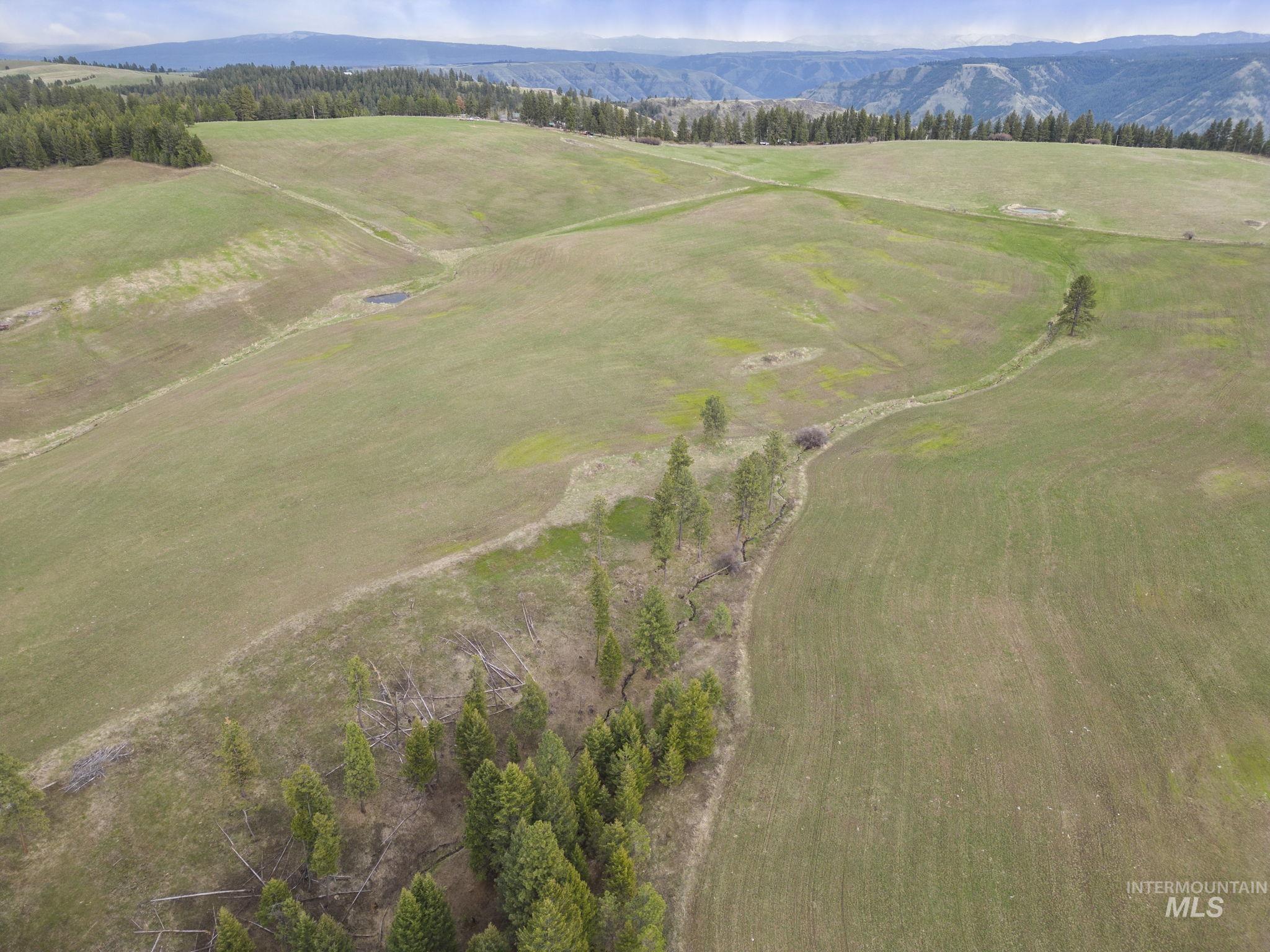 Tbd Rieman Rd Property Photo 15