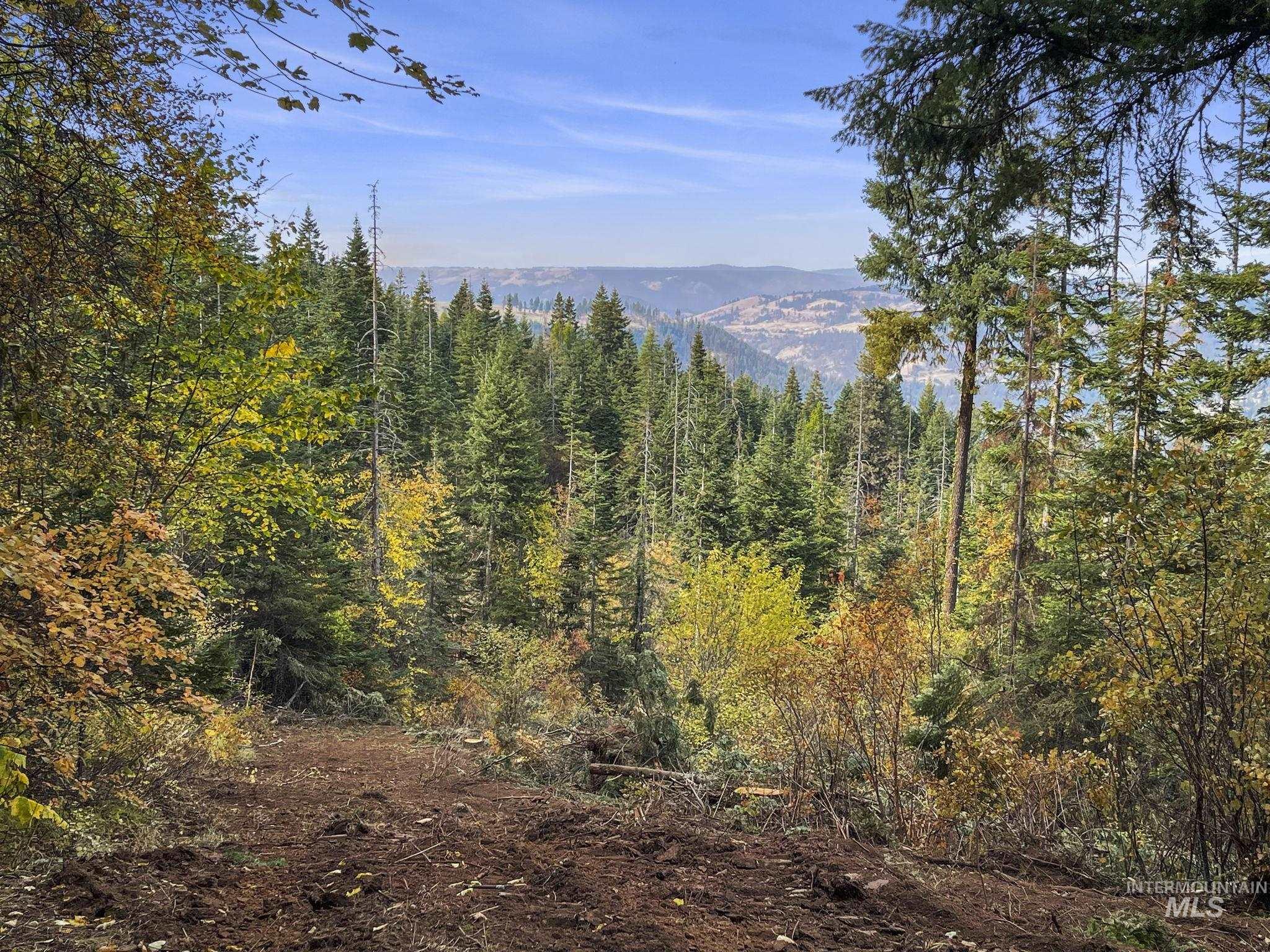 472 Mountain Top Drive Property Photo 9
