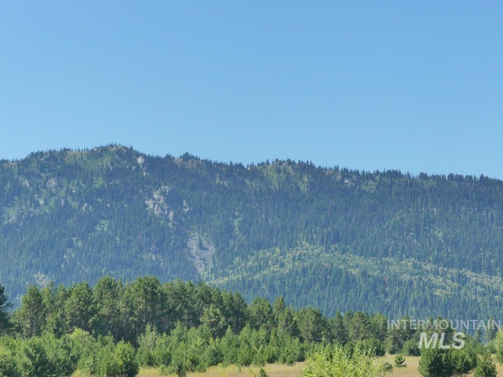 16 Timberline Drive Property Photo 9