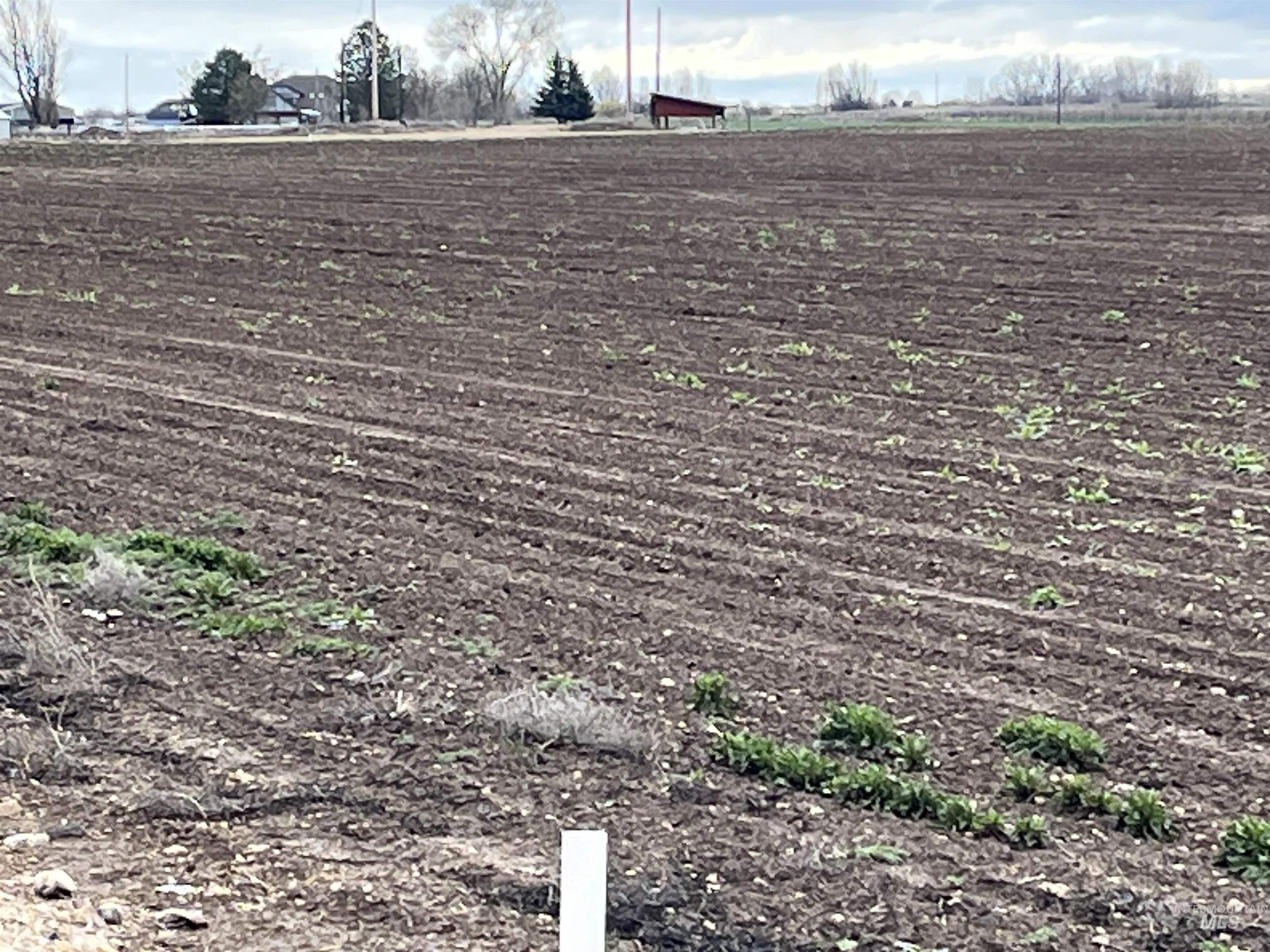 Tbd W Deer Flat Rd Property Photo 17