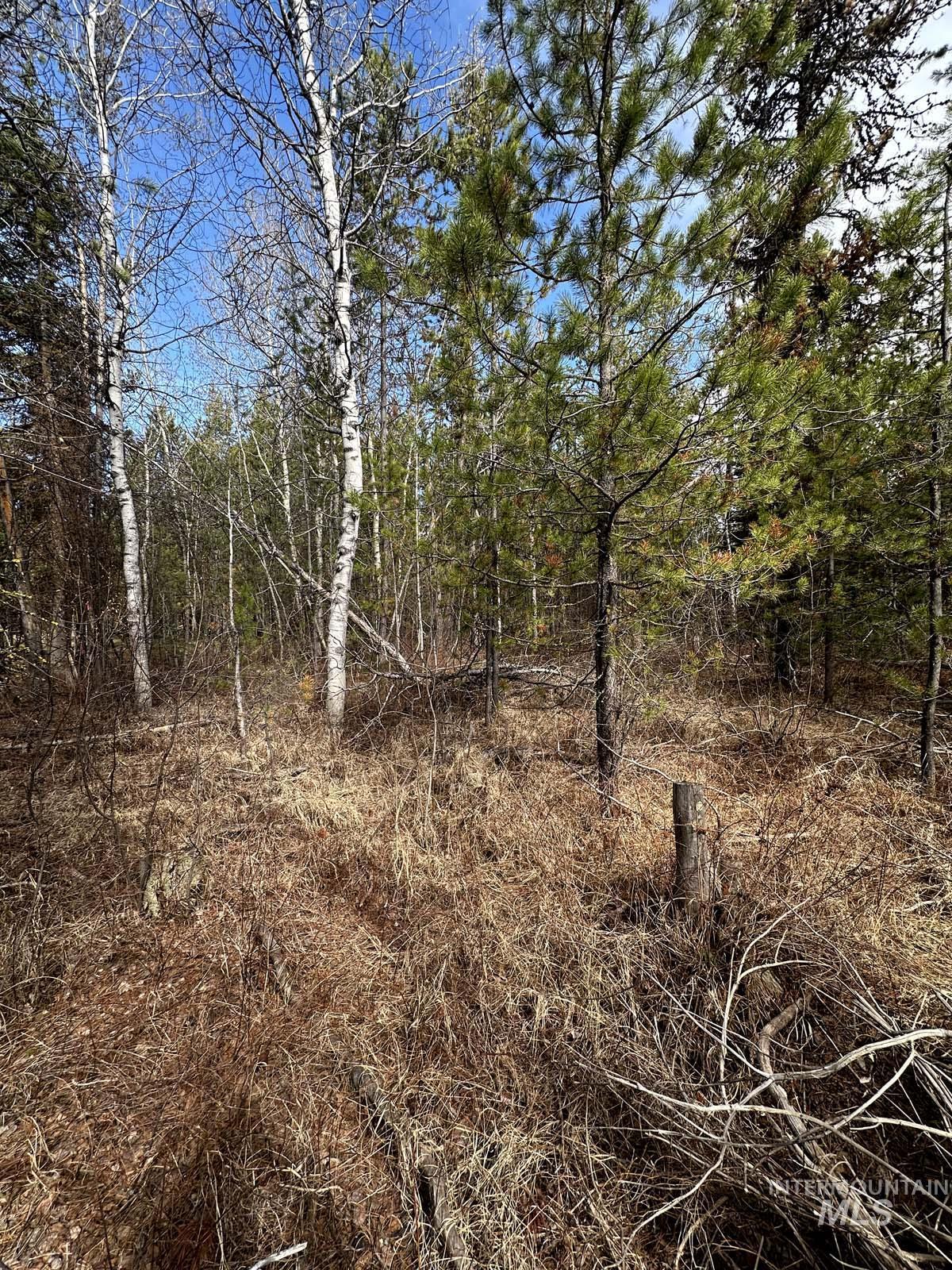 200 Angus Lane Property Photo