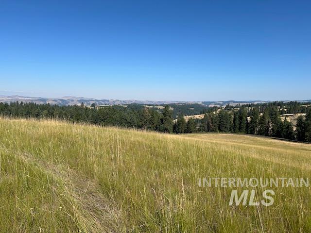 Parcel 13 Red Fir Road Property Photo 1