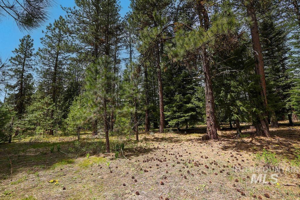 Lot 20 Blackhawk Lake Dr Property Photo 4