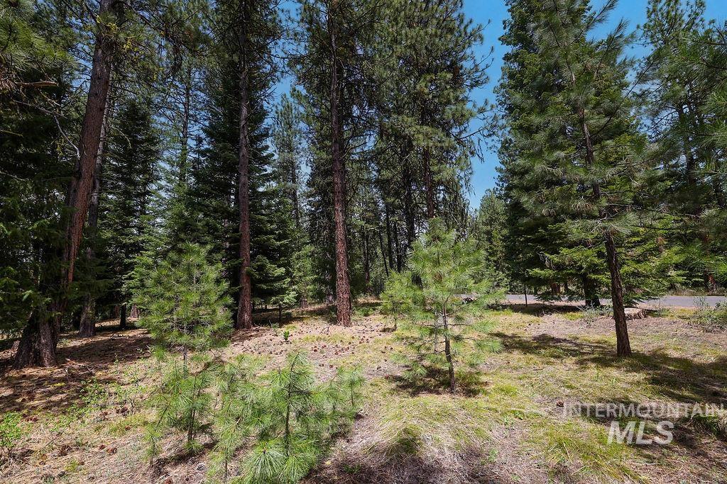 Lot 20 Blackhawk Lake Dr Property Photo 5