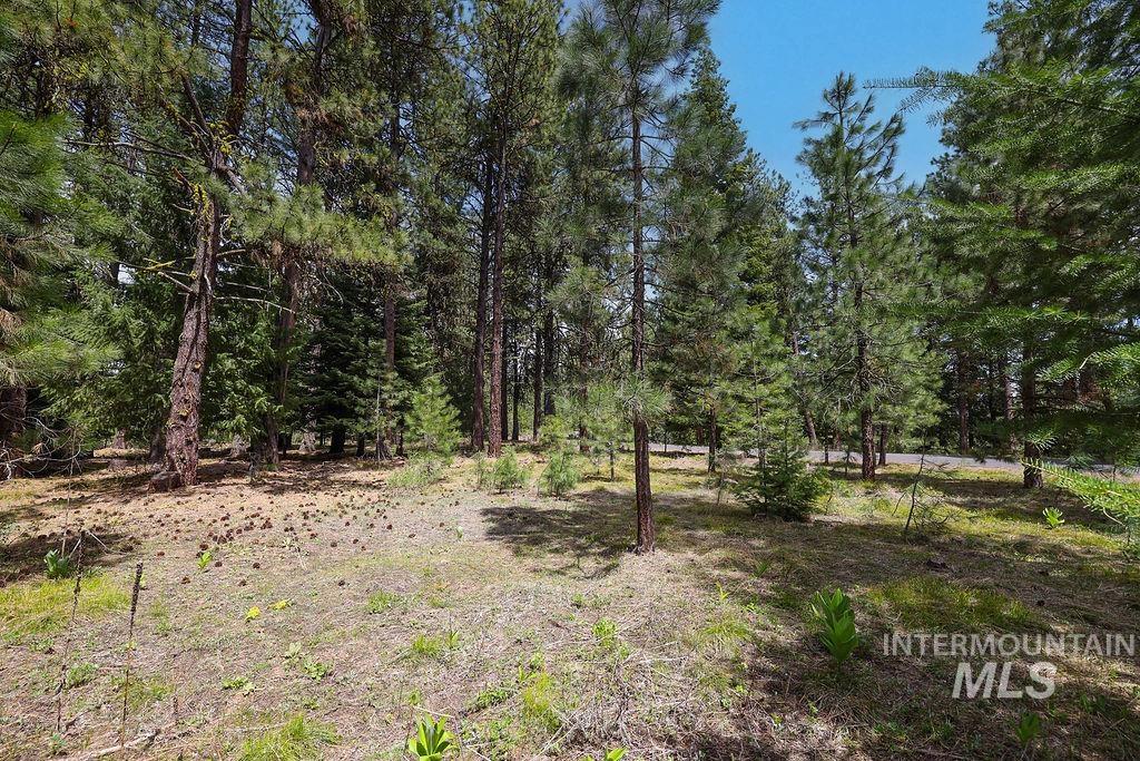 Lot 20 Blackhawk Lake Dr Property Photo 6