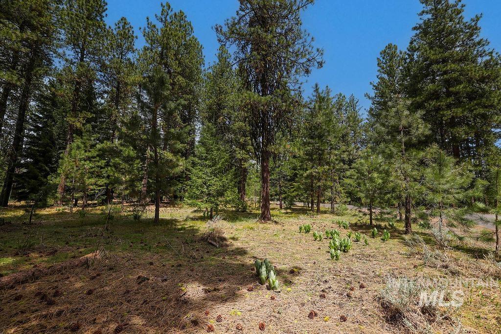 Lot 20 Blackhawk Lake Dr Property Photo 7