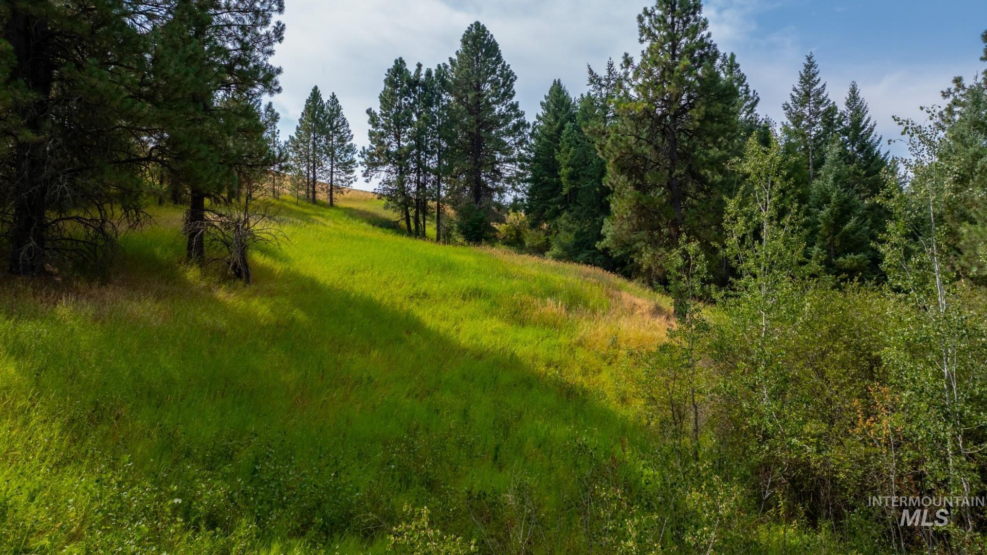 Tbd Parkins Road Property Photo