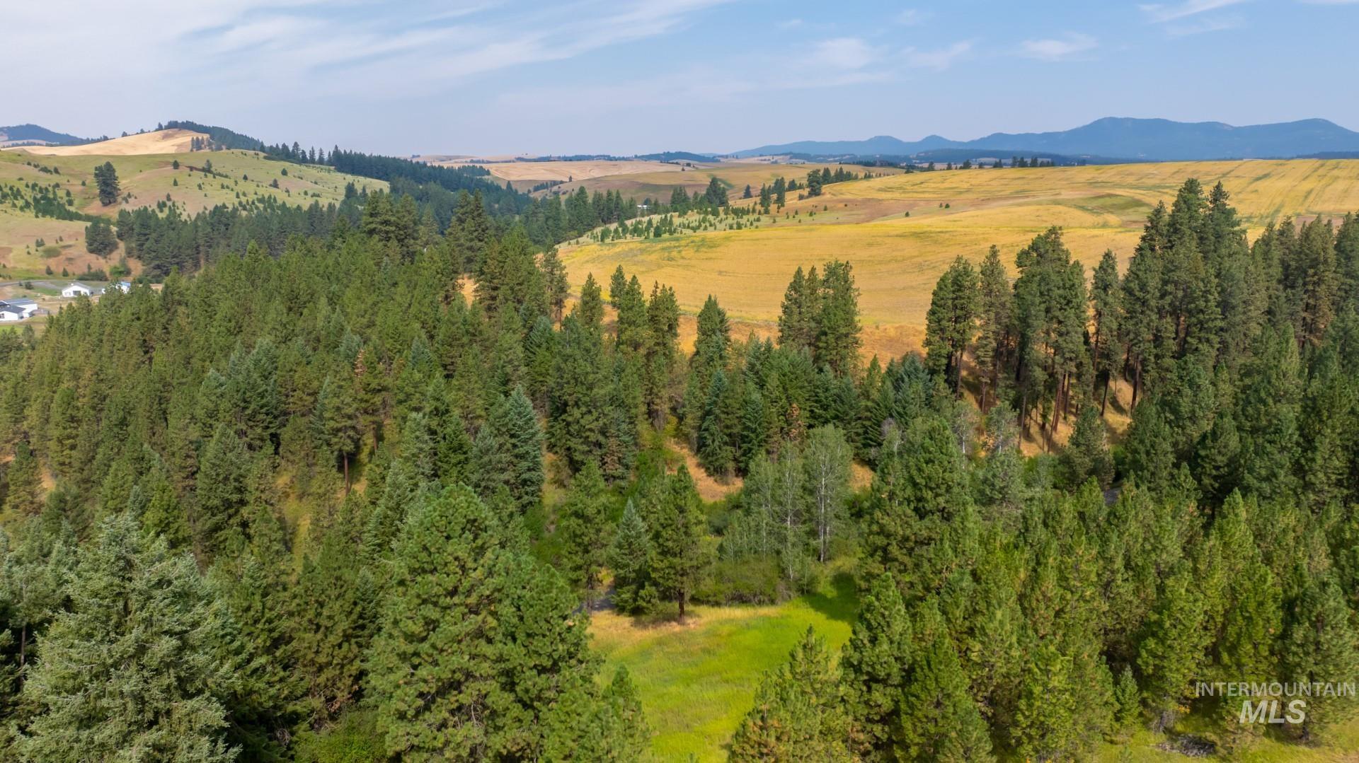 Tbd Parkins Road Property Photo 6