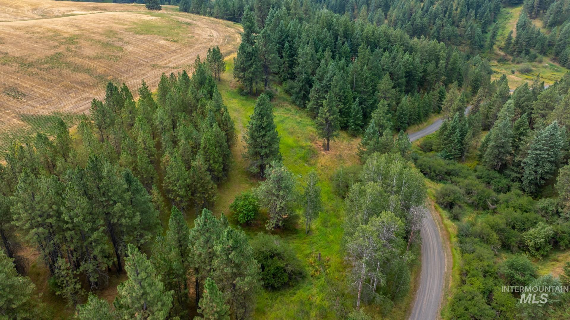 Tbd Parkins Road Property Photo 11